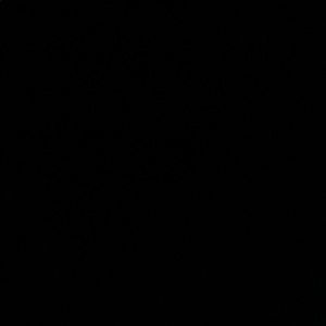 Meet your Posher, Annabel